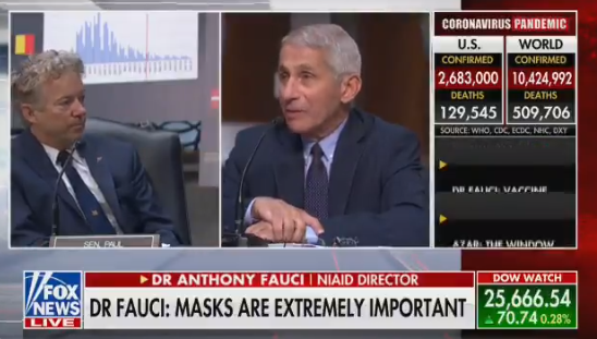 MUST SEE! Senator Rand Paul Confronts Dr. Fauci on Coronavirus Insanity (VIDEO)