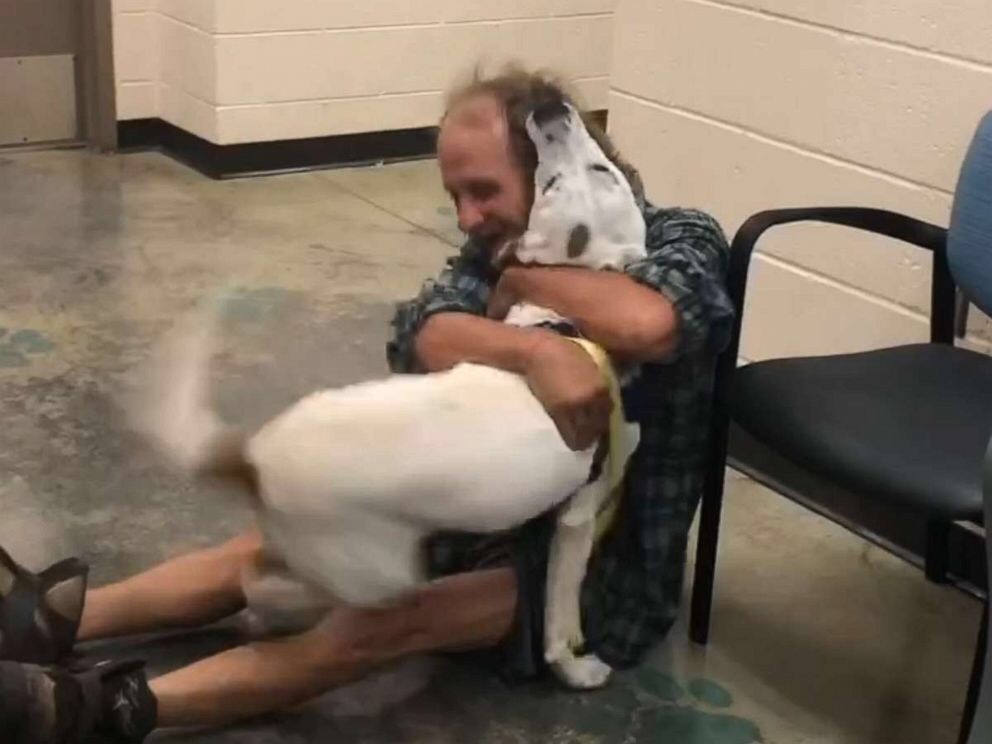 AMAZING: Homeless Tennessee Man Reunites With His Missing Dog (VIDEO ...