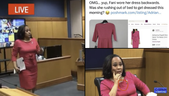 Did Fani Willis Wear Her Dress Backwards All Day in Georgia Court Hearing? (VIDEO INSIDE)