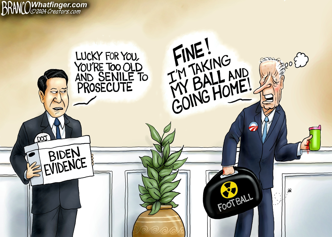 The DC Patriot Cartoon of the Day: ‘I’m Taking My Ball and Going Home’